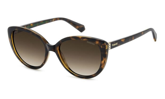 Polaroid PLD 4176/S/X