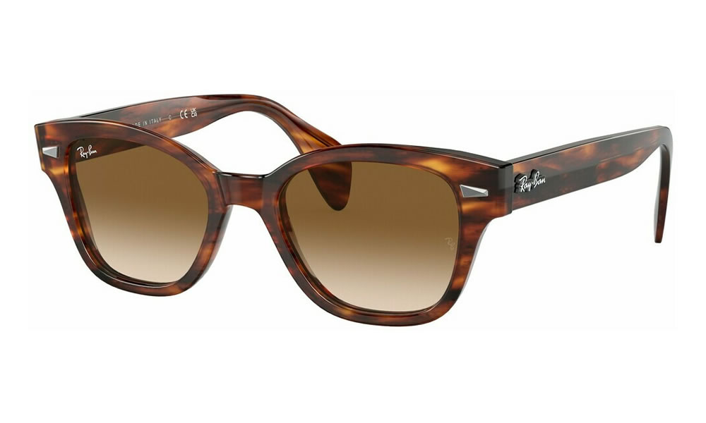 Ray-Ban RB 0880S
