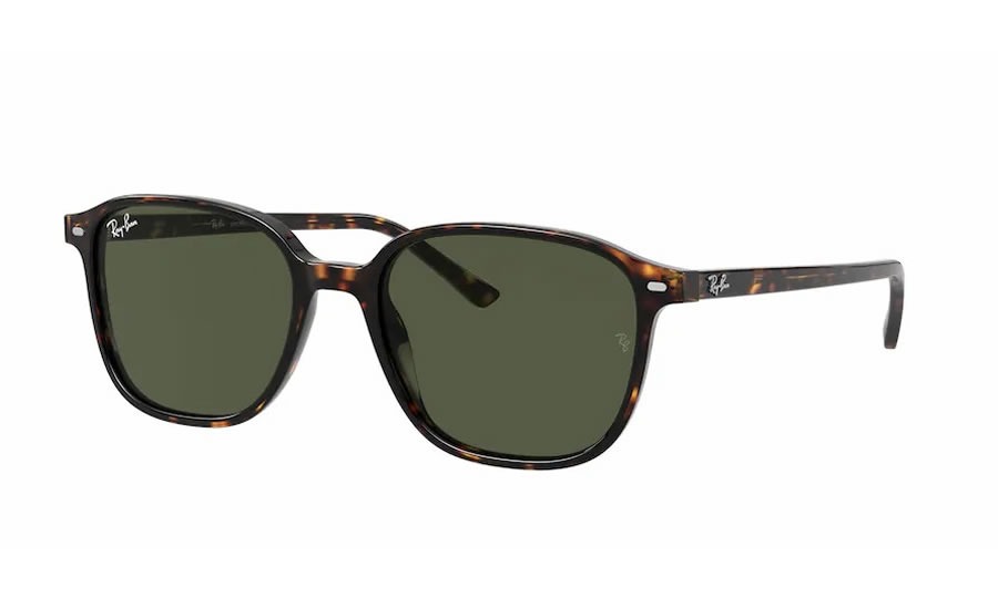 Ray-Ban RB 2193 Leonard