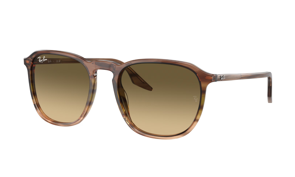 Ray-Ban RB 2203