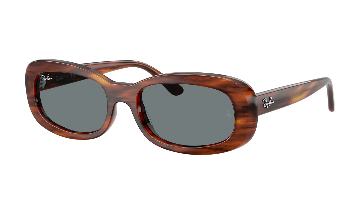 Ray-Ban RB 2221