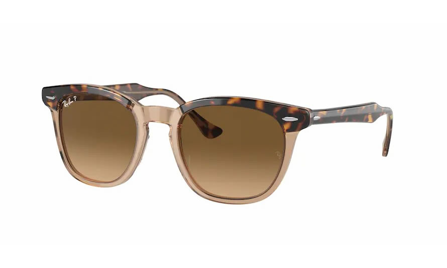 Ray-Ban RB 2298 HAWKEYE